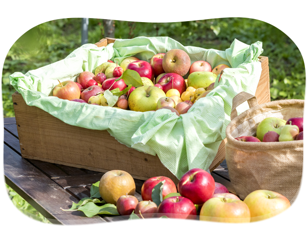 私たちのこだわり